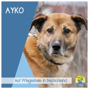 Read more about the article Ayko |ab Juni auf PS in Deutschland|