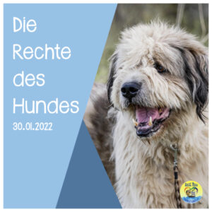 Read more about the article Der Hund & seine Rechte
