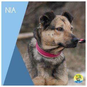 Read more about the article Nia |RESERVIERT|