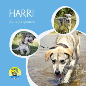 Read more about the article Harri