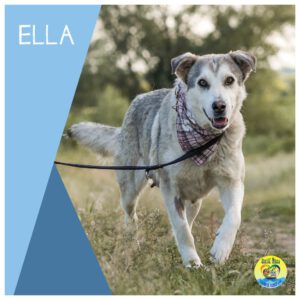Read more about the article Ella |Reserviert|