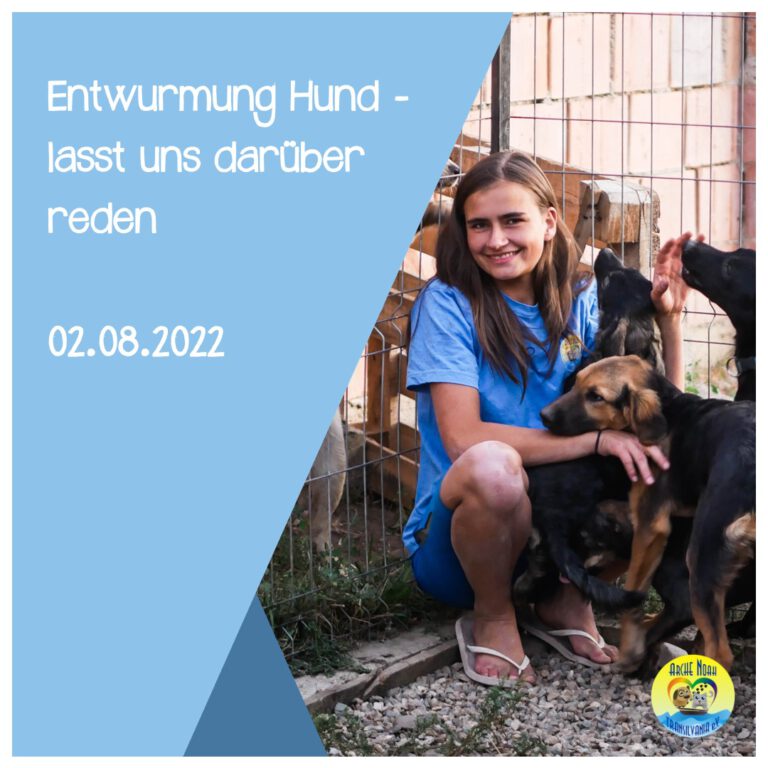 Read more about the article Entwurmung Hund – Lasst uns darüber reden
