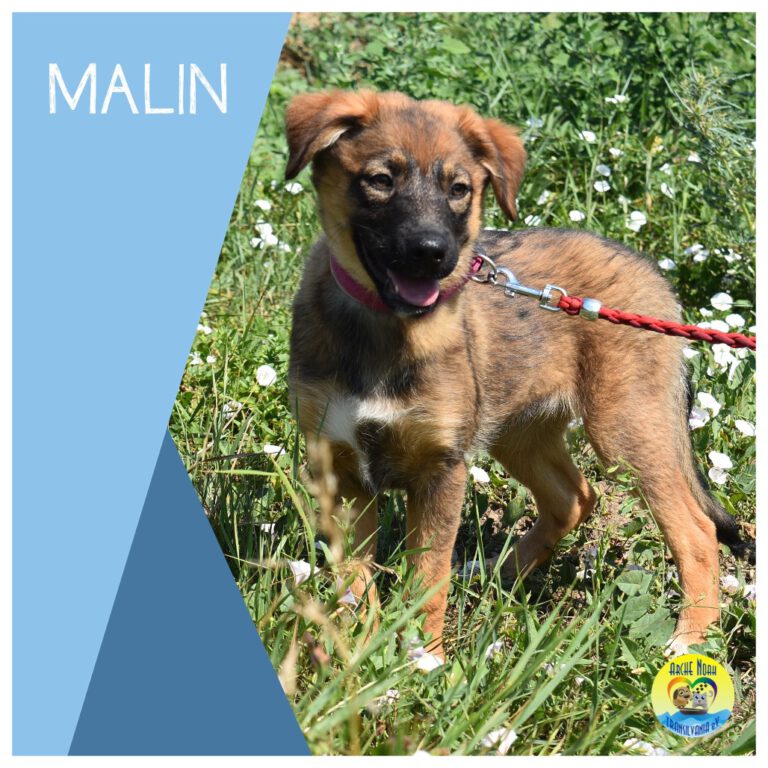Read more about the article Malin |Reserviert|