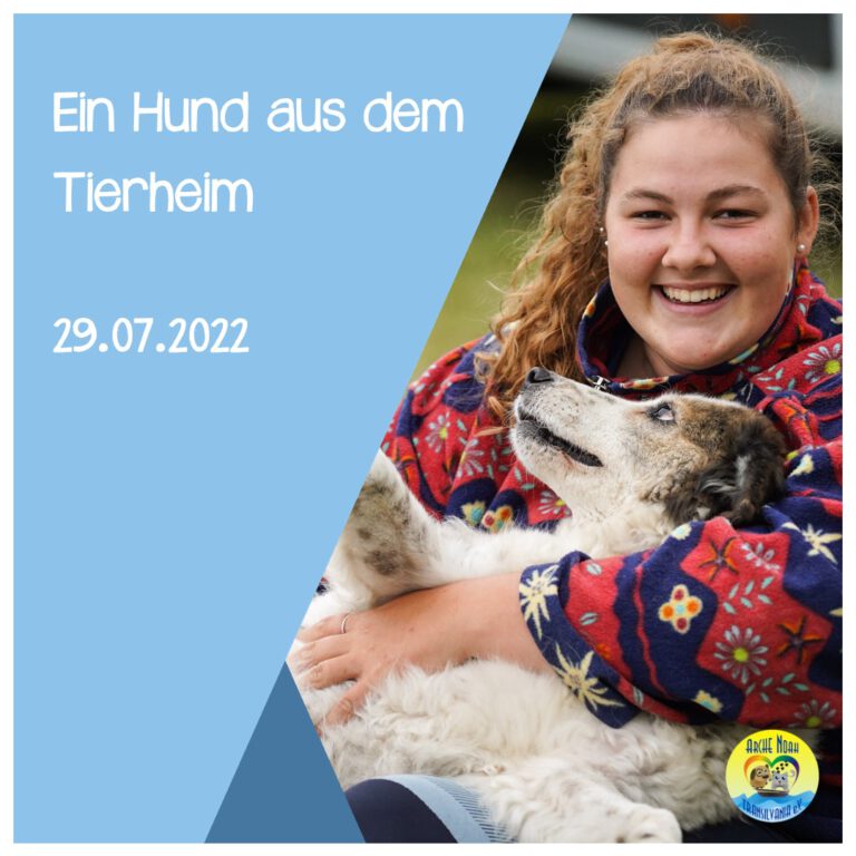 Read more about the article Ein Hund aus dem Tierheim