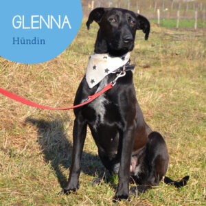 Read more about the article GLENNA