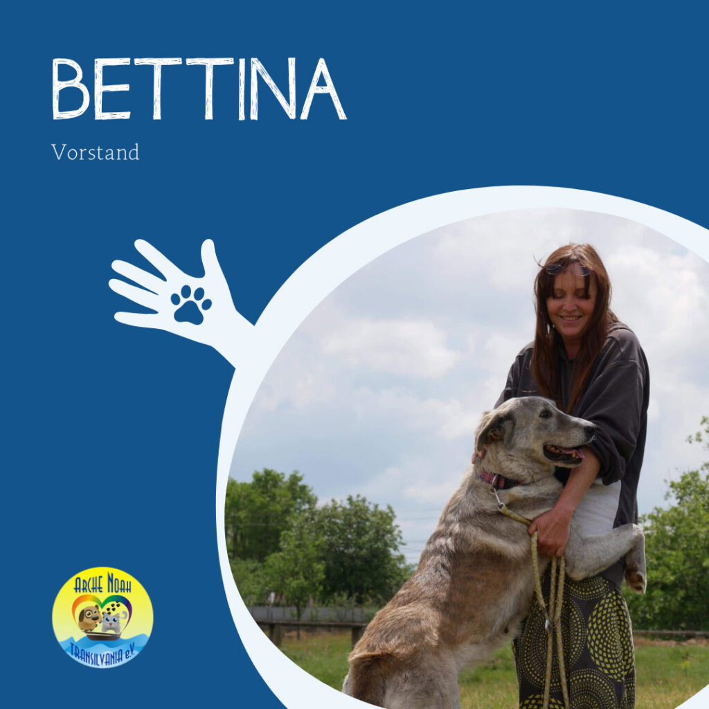 Bettina, Vorstand