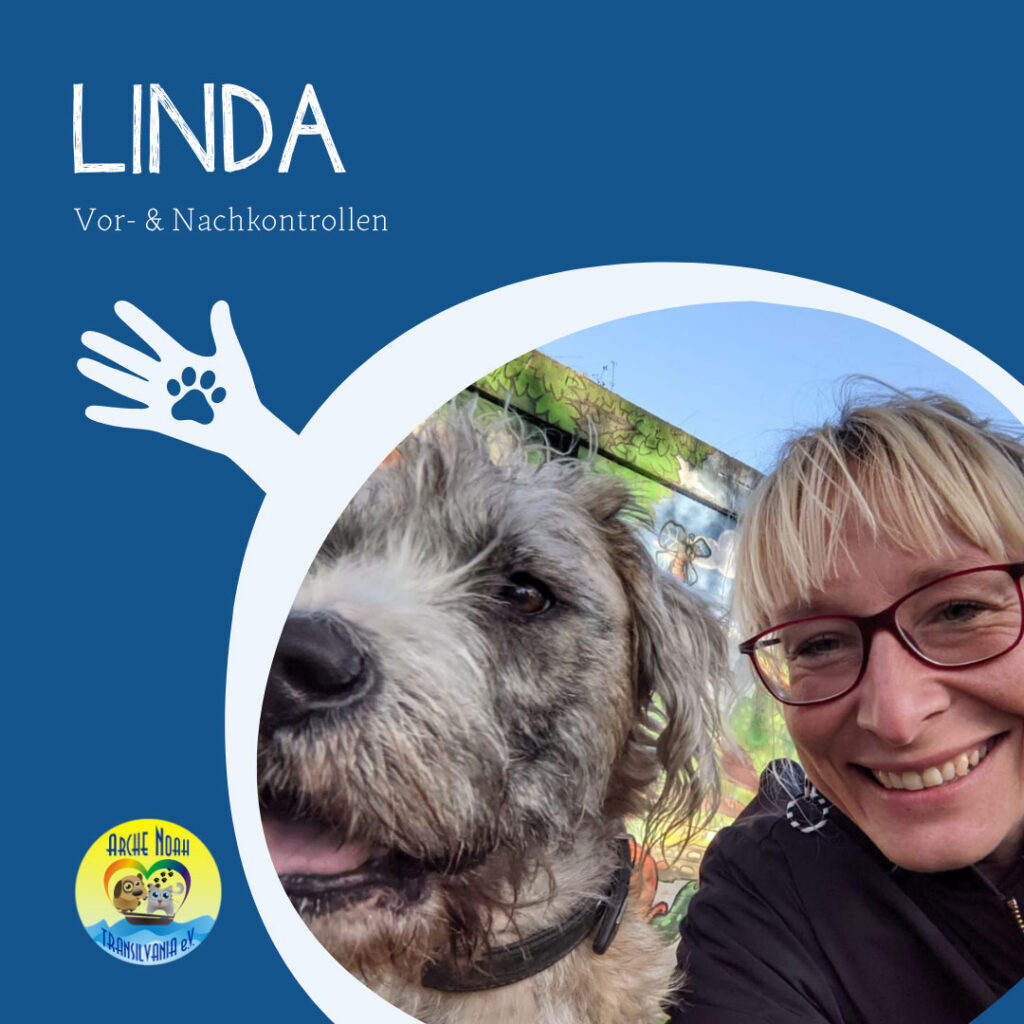Linda, Vor-und Nachkontrolle