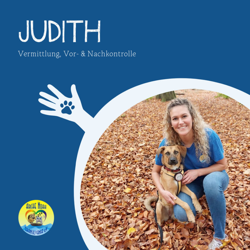 Judith, Vermittlung Vor- und Nachkontrolle