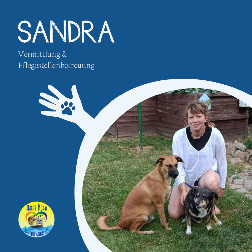 Sandra, Vermittlung und Pflegestellenbetreuung