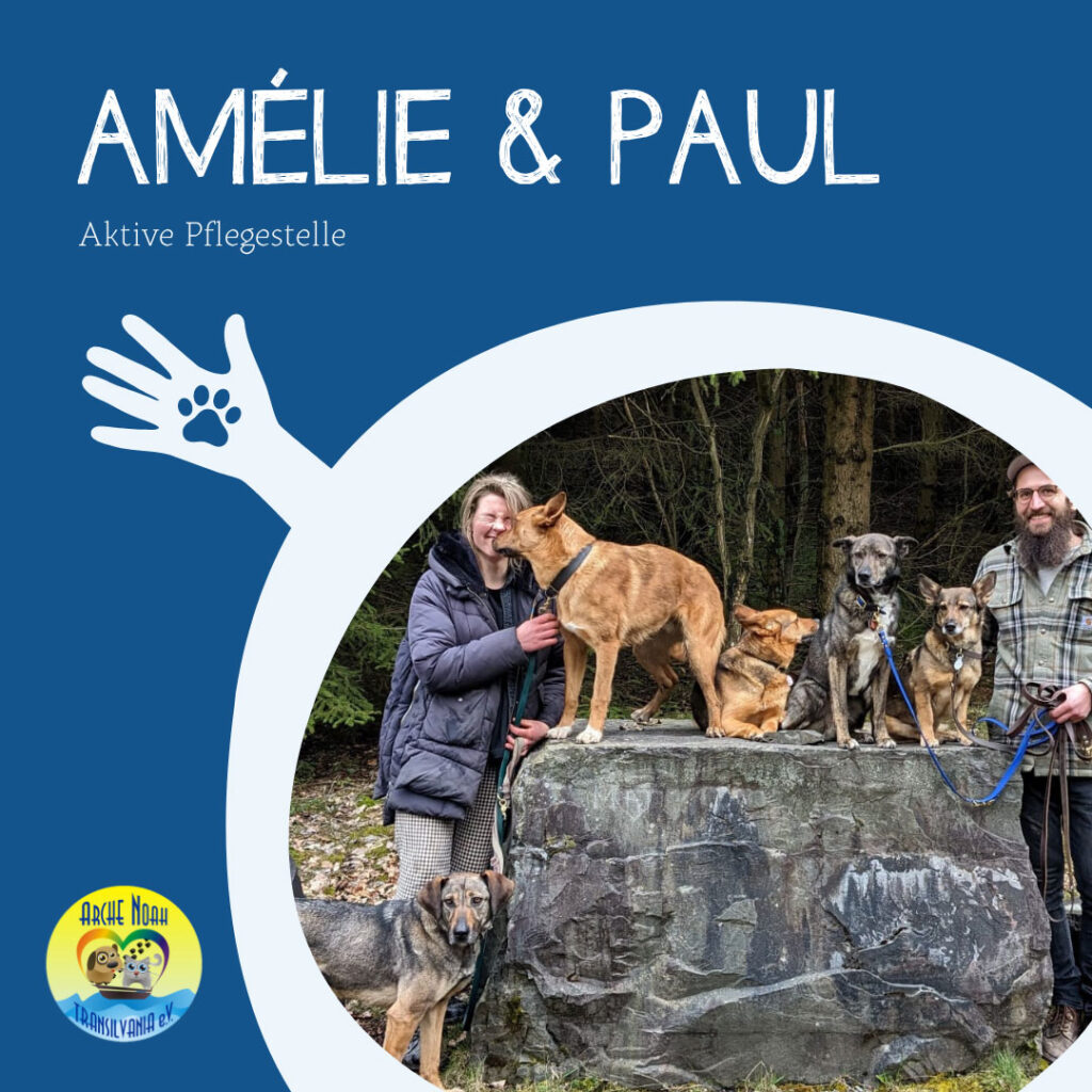 Amelie und Paul, aktive Pflegestelle