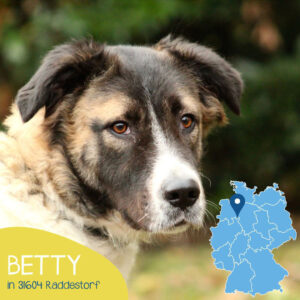 Read more about the article Betty