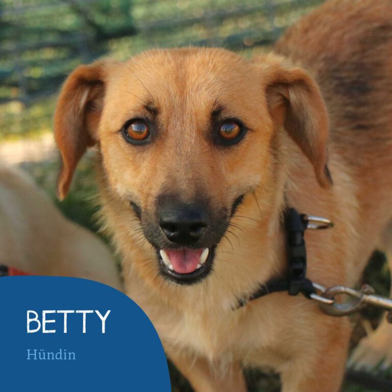 Read more about the article Betty