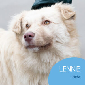 Read more about the article Lennie