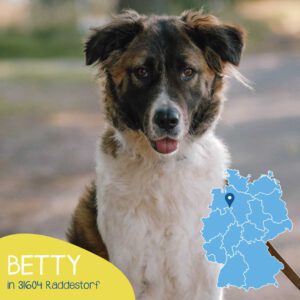 Mehr über den Artikel erfahren Betty
