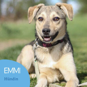 Read more about the article Emmi