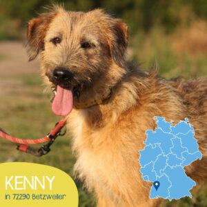 Mehr über den Artikel erfahren KENNY