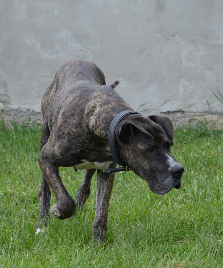 01_trudi_6