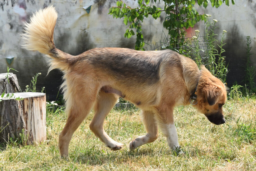 03_keba_g2