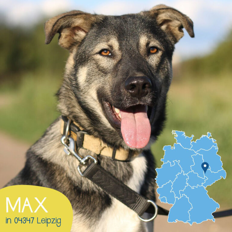 Mehr über den Artikel erfahren MAX