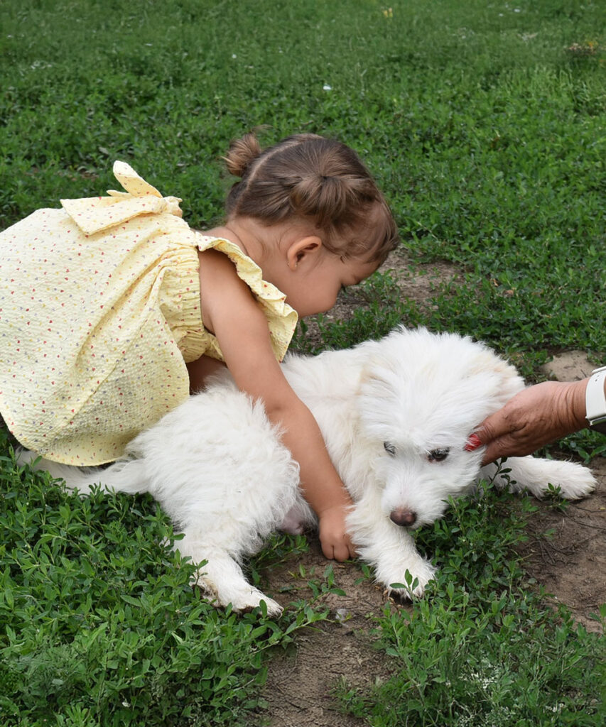02_fluffy_gal3