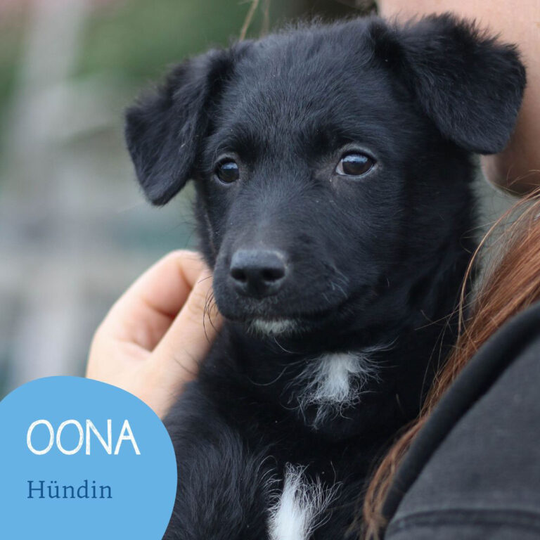 Mehr über den Artikel erfahren OONA