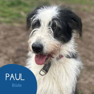 Mehr über den Artikel erfahren PAUL