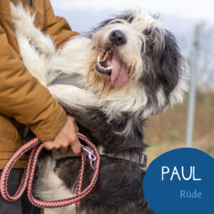 Mehr über den Artikel erfahren PAUL