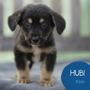 Mehr über den Artikel erfahren HUBI