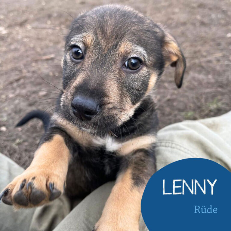 Mehr über den Artikel erfahren LENNY