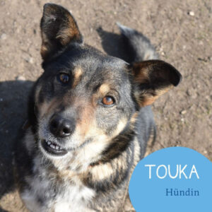 Mehr über den Artikel erfahren TOUKA