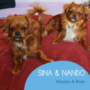 Mehr über den Artikel erfahren NANDO & SINA