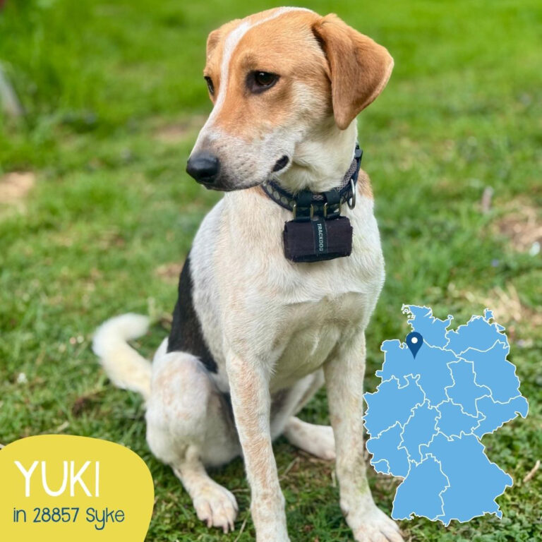 Mehr über den Artikel erfahren YUKI