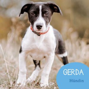 Mehr über den Artikel erfahren Gerda
