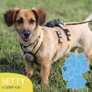 Mehr über den Artikel erfahren Betty