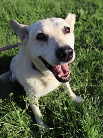 00_text0