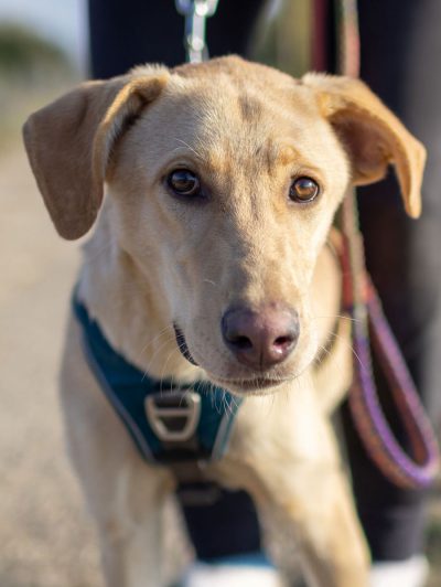 01_Findus_text1 01_Findus_text1