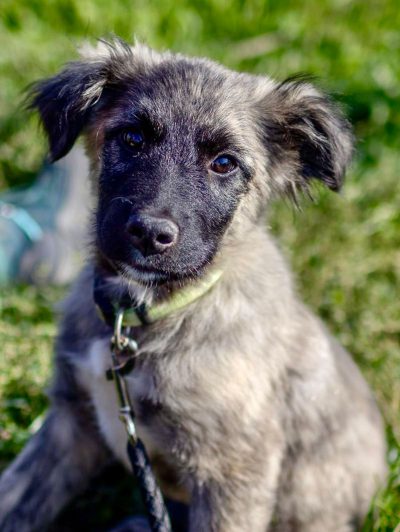 01_santo_text1 01_santo_text1